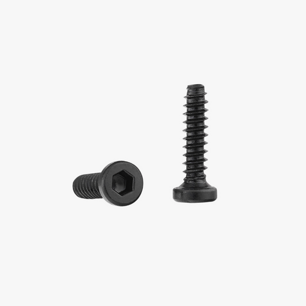 BT2x8 Socket Head Cap Self Tapping Screw (SHCS)